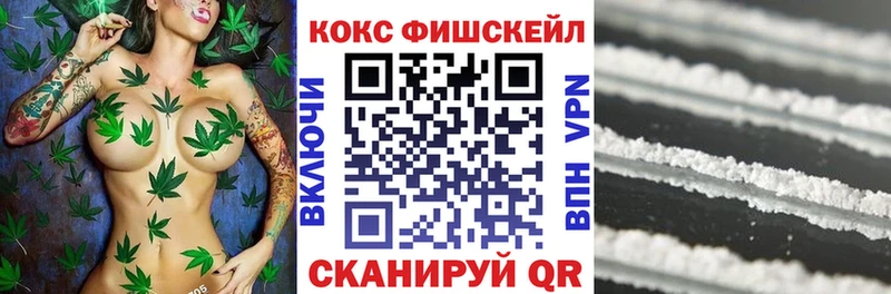 КОКАИН Fish Scale  купить закладку  Елизово 
