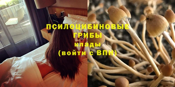 ECSTASY Беломорск