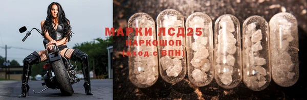 ECSTASY Беломорск